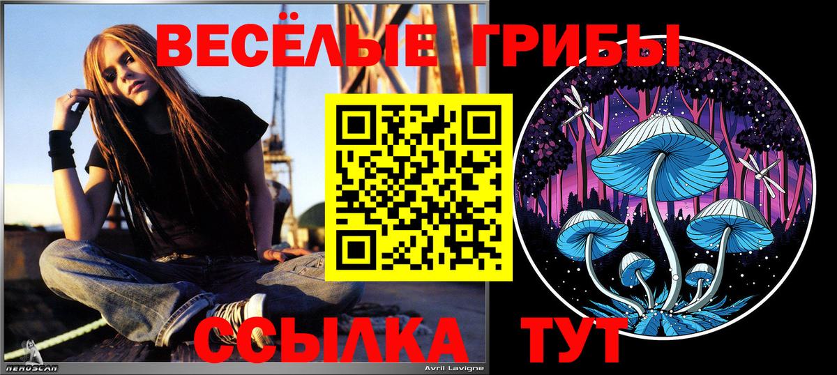 Галлюциногенные грибы мицелий Шахты