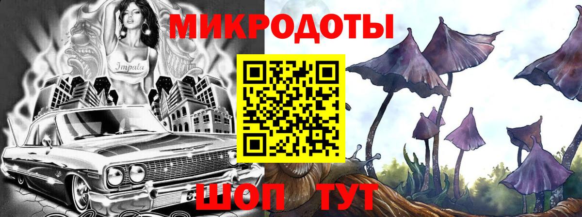 что такое   Псилоцибиновые грибы прущие грибы  Вход с VPN  Шахты  Галлюциногенные грибы ЛСД 