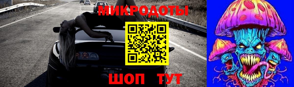 где можно купить наркотик  Шахты  Галлюциногенные грибы Cubensis 